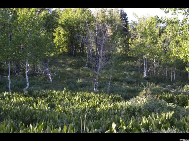 926 Deep Forest Rd #157, Wanship, UT 84017 — photo 10