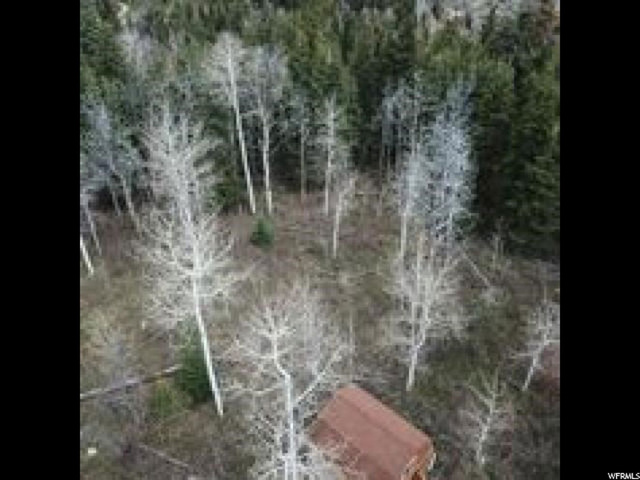 900 Deep Forest Rd #181, Wanship, UT 84017 — photo 3
