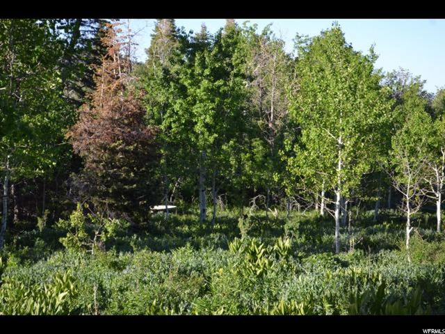 900 Deep Forest Rd #181, Wanship, UT 84017 — photo 10
