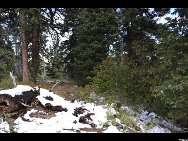 900 Deep Forest Rd #181, Wanship, UT 84017 — photo 7