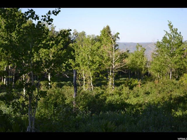 900 Deep Forest Rd #181, Wanship, UT 84017 — photo 8