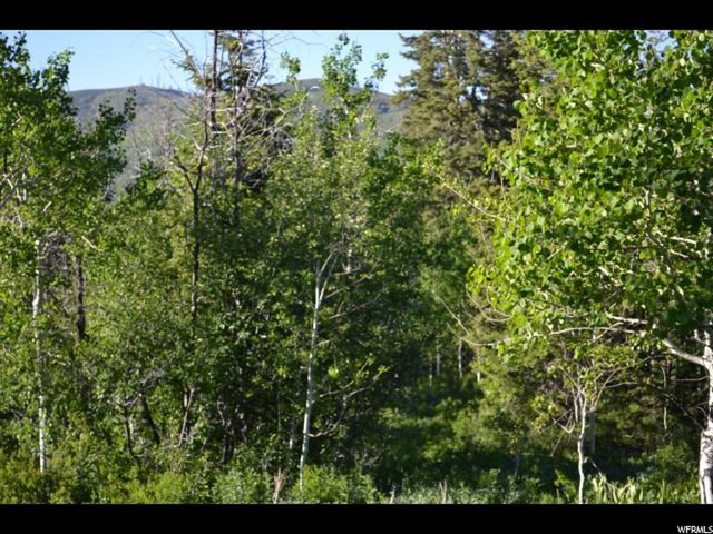 900 Deep Forest Rd #181, Wanship, UT 84017 — photo 9