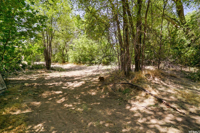 2355 S Orchard Ave E, Ogden, UT 84401 — photo 11