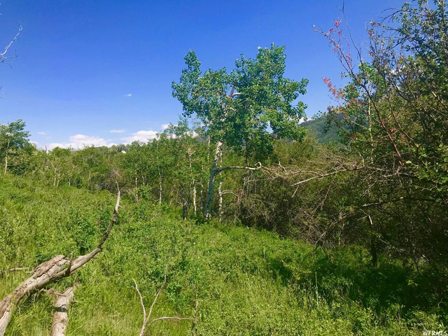 674 Ashley Ln, Oakley, UT 84055 — photo 10