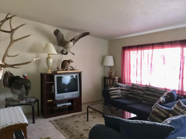 234 S 200 E, Levan, UT 84639 — photo 9