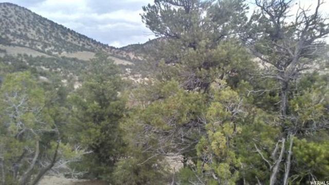 #16, Fruitland, UT 84027 — photo 4