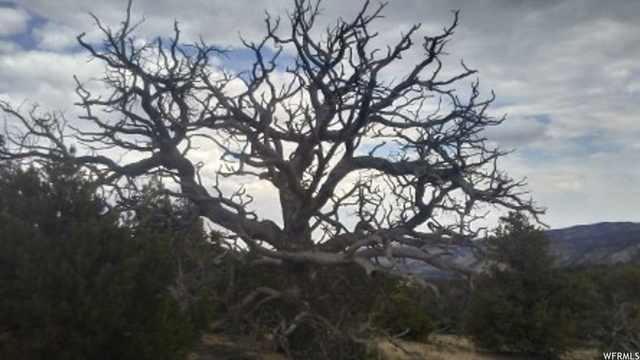 #16, Fruitland, UT 84027 — photo 7