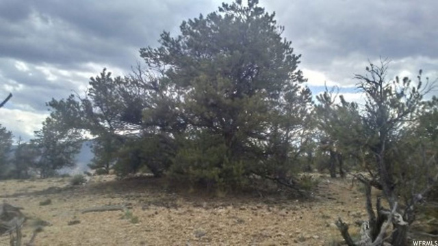 #16, Fruitland, UT 84027 — photo 5