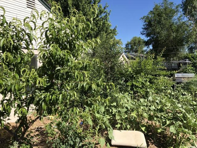 5650 S 2800 W, Roy, UT 84067 — photo 7