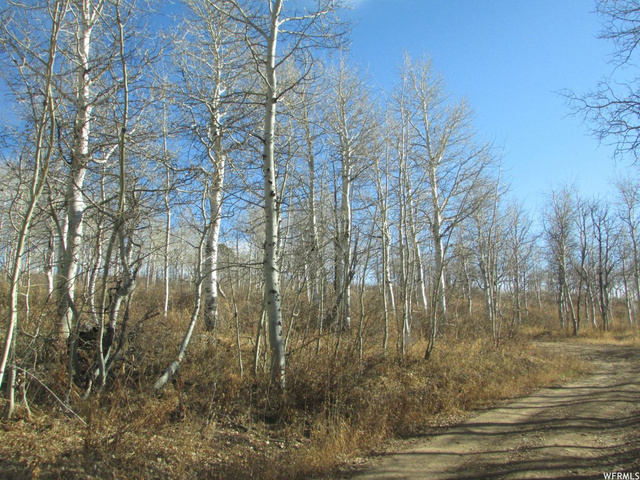 #21, Hyrum, UT 84319 — photo 12