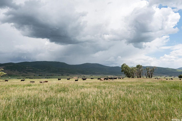 Peoa, UT 84061 — photo 10