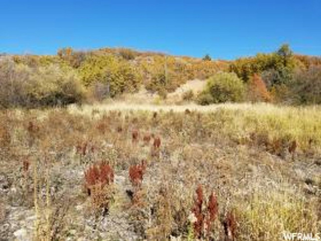 6770 North N, Eden, UT 84310 — photo 3