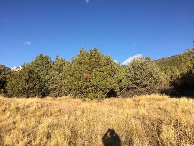 #14, Spring City, UT 84662 — photo 5