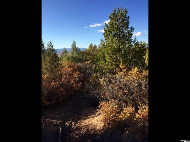 #14, Spring City, UT 84662 — photo 4