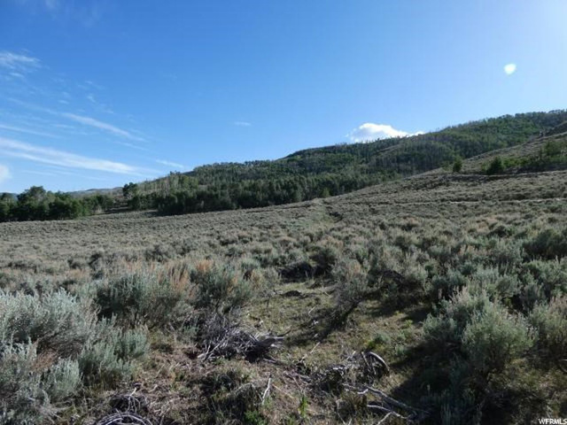 #52, Scofield, UT 84526 — photo 6