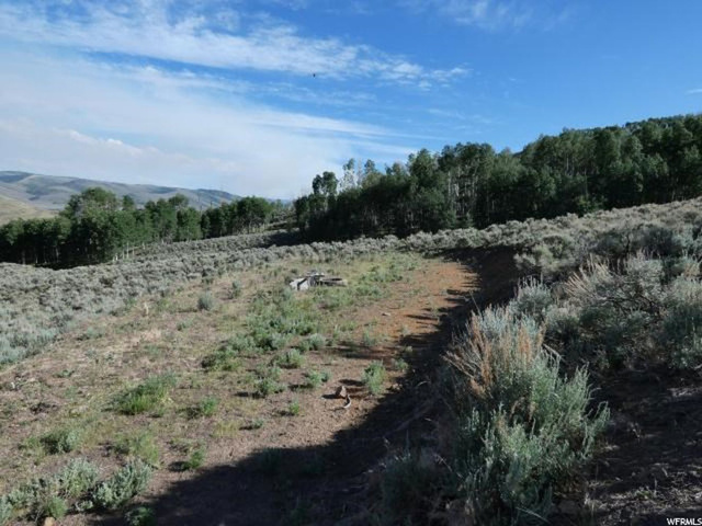 #52, Scofield, UT 84526 — photo 8