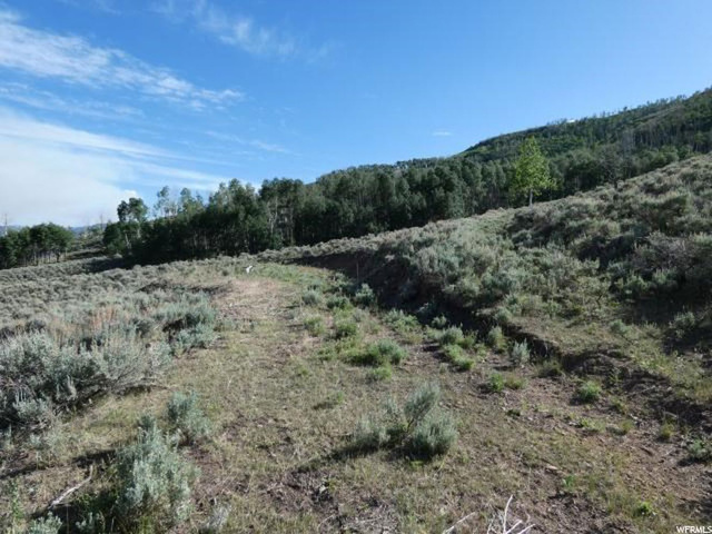#52, Scofield, UT 84526 — photo 4