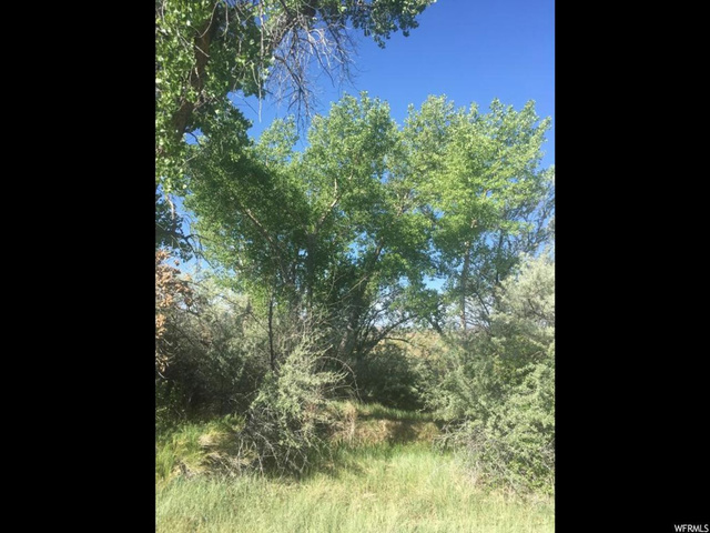 #7, Roosevelt, UT 84066 — photo 7
