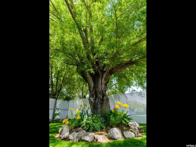 3369 W 5125 S, Roy, UT 84067 — photo 10
