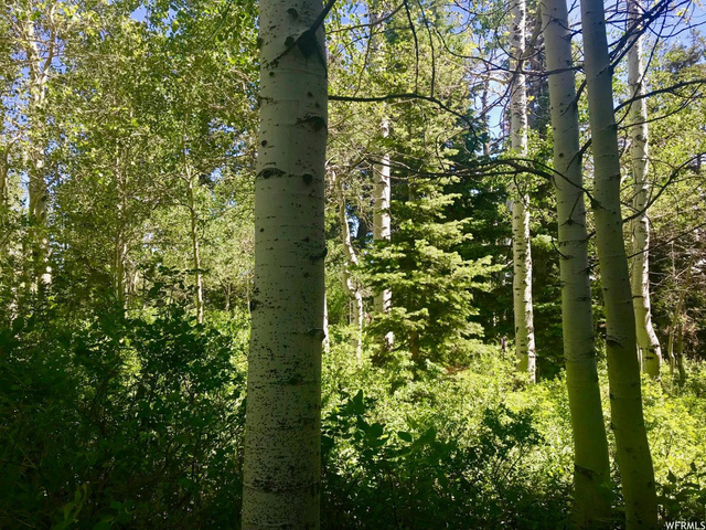 2191 Pine Loop Rd #F-63, Wanship, UT 84017 — photo 12
