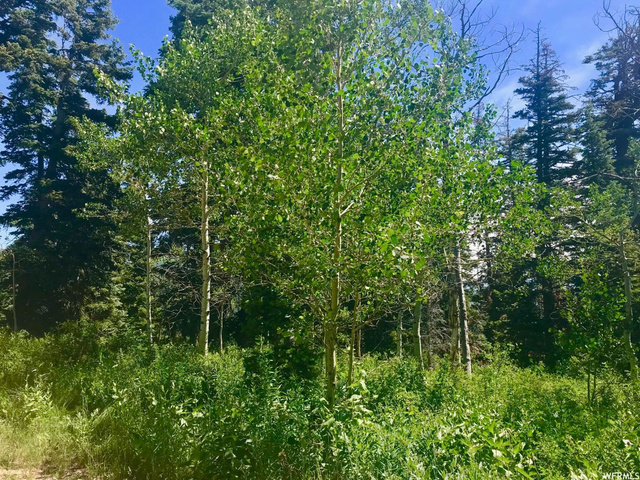 2191 Pine Loop Rd #F-63, Wanship, UT 84017 — photo 5