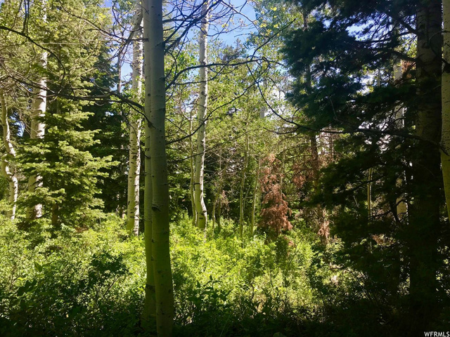 2191 Pine Loop Rd #F-63, Wanship, UT 84017 — photo 11