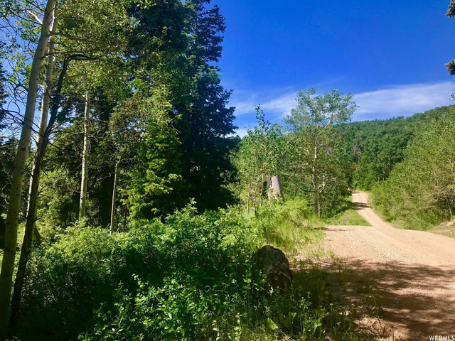 2191 Pine Loop Rd #F-63, Wanship, UT 84017 — photo 10