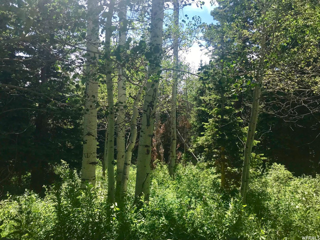 2191 Pine Loop Rd #F-63, Wanship, UT 84017 — photo 7