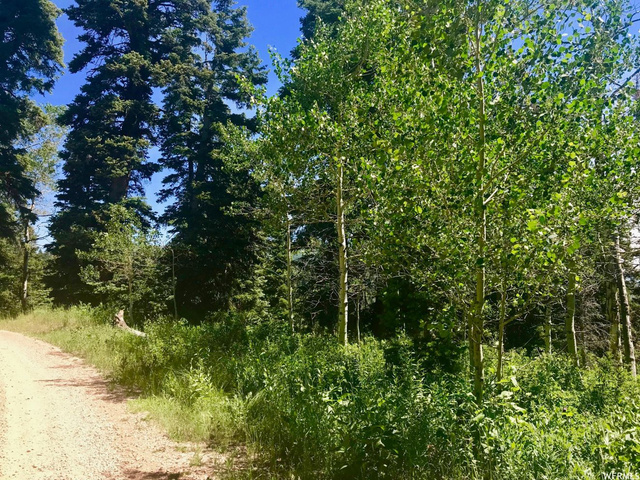 2191 Pine Loop Rd #F-63, Wanship, UT 84017 — photo 6