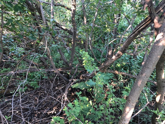 #22, Malad City, ID 83252 — photo 7