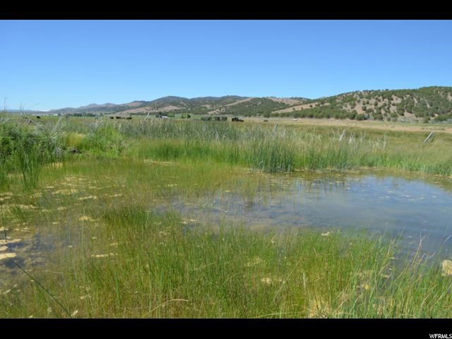 1950 Corinelson Rd, Bancroft, ID 83217 — photo 11