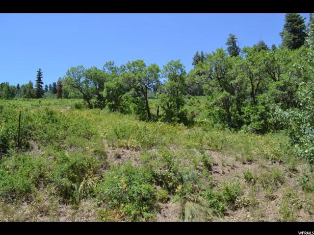 2222 Pine Meadow Dr, Wanship, UT 84017 — photo 3
