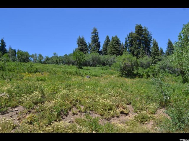 2222 Pine Meadow Dr, Wanship, UT 84017 — photo 2