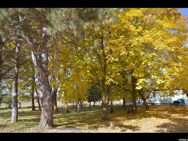 1115 E 800 S, Providence, UT 84332 — photo 5