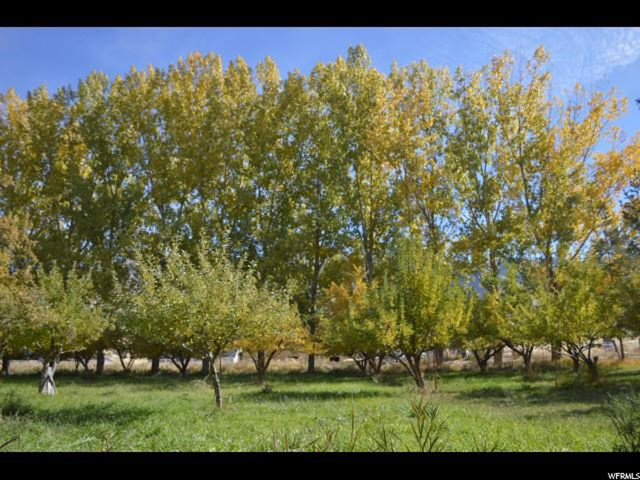 1115 E 800 S, Providence, UT 84332 — photo 3