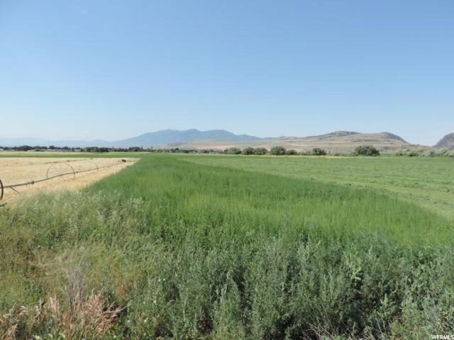 6500 W 7900 N, Newton, UT 84327 — photo 3