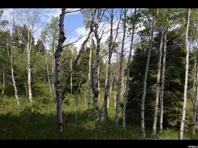 1688 Elk Rd, Wanship, UT 84017 — photo 4