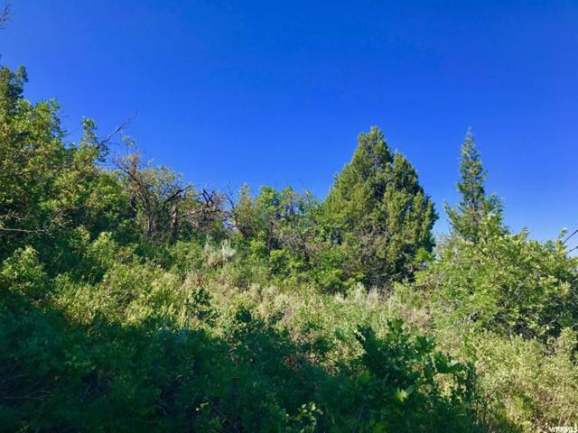95 Kamas E #95, Kamas, UT 84036 — photo 7