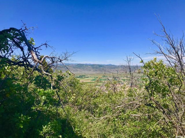 95 Kamas E #95, Kamas, UT 84036 — photo 12