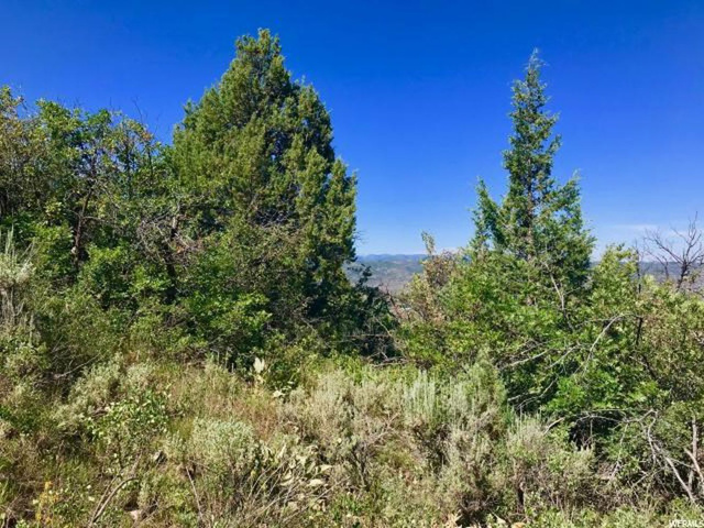 95 Kamas E #95, Kamas, UT 84036 — photo 8
