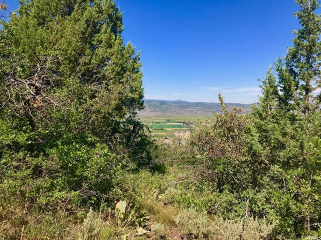 95 Kamas E #95, Kamas, UT 84036 — photo 11