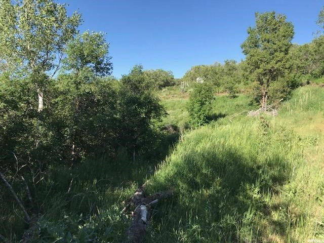 168 Tony's Canyon Rd #168, Echo, UT 84024 — photo 8