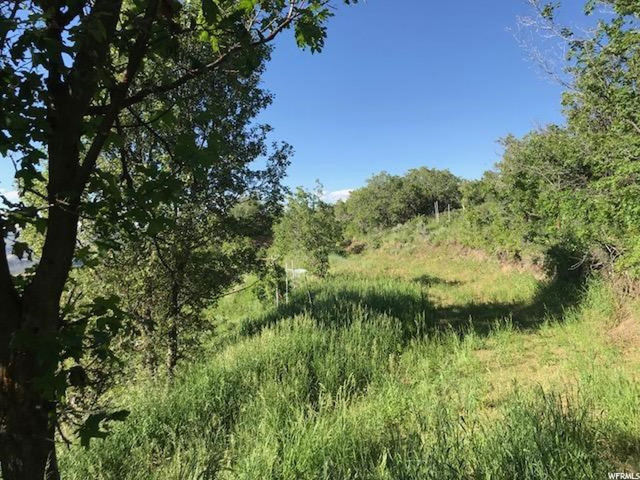 168 Tony's Canyon Rd #168, Echo, UT 84024 — photo 11