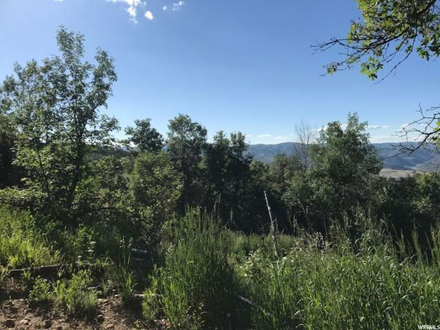 168 Tony's Canyon Rd #168, Echo, UT 84024 — photo 10