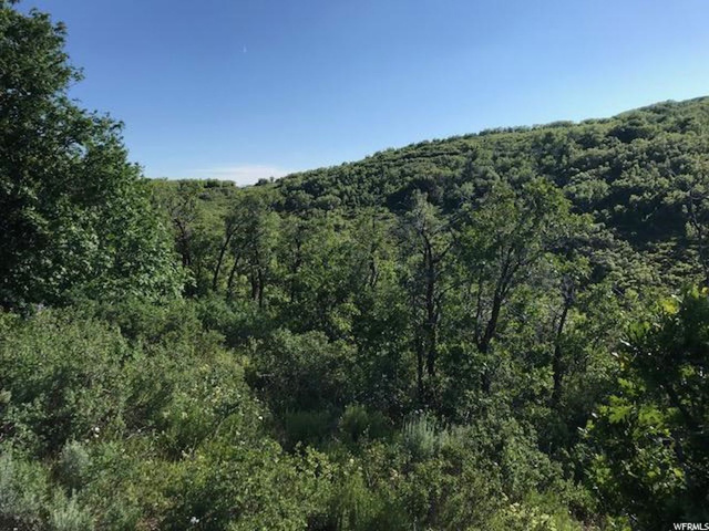 168 Tony's Canyon Rd #168, Echo, UT 84024 — photo 5