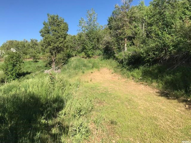 168 Tony's Canyon Rd #168, Echo, UT 84024 — photo 7