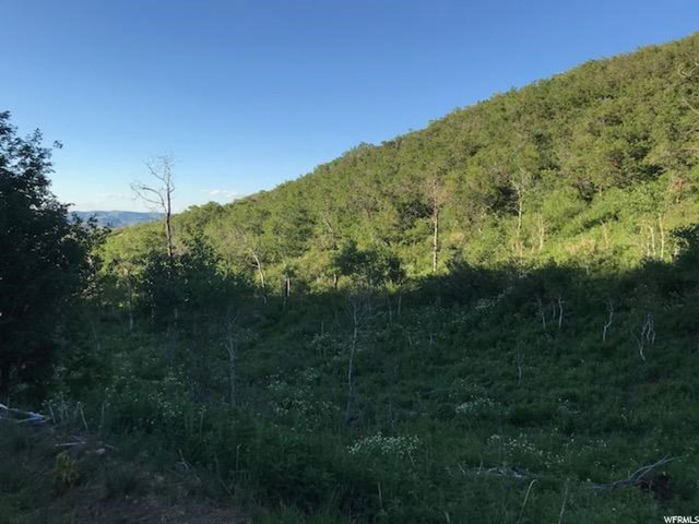 168 Tony's Canyon Rd #168, Echo, UT 84024 — photo 4