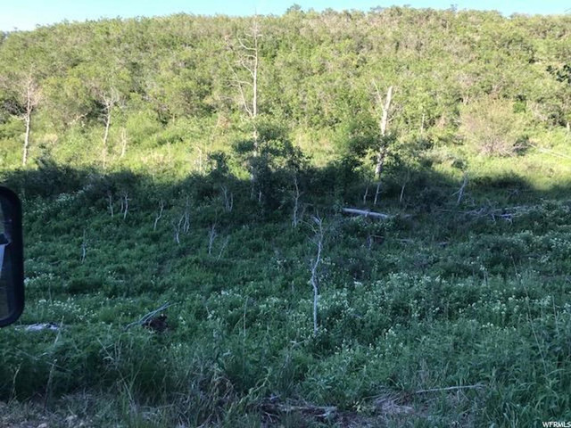 168 Tony's Canyon Rd #168, Echo, UT 84024 — photo 3