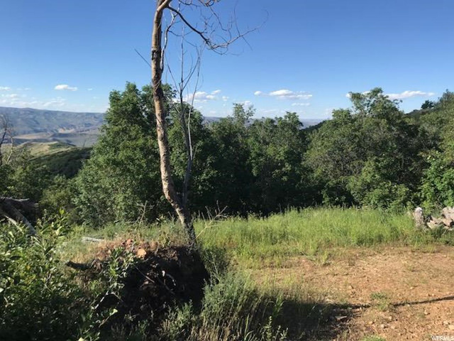168 Tony's Canyon Rd #168, Echo, UT 84024 — photo 6