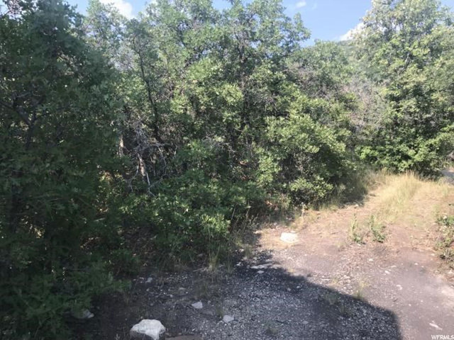 23075 N Juniper Dr E #M83, Fairview, UT 84629 — photo 2